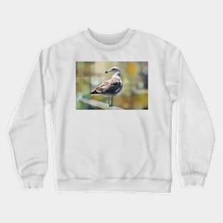 Sea Gull on Rail Crewneck Sweatshirt